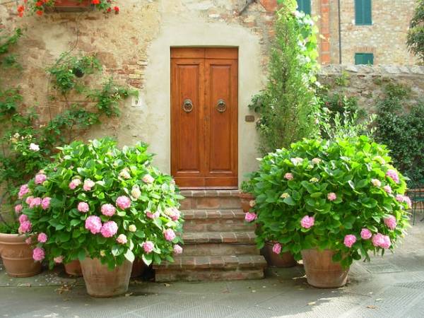 דלת כניסה בסגנון כפרי
