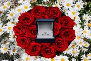 הצעות נישואין בבית